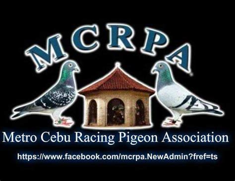 mavc bulacan|MAVC Pigeon Clocking.